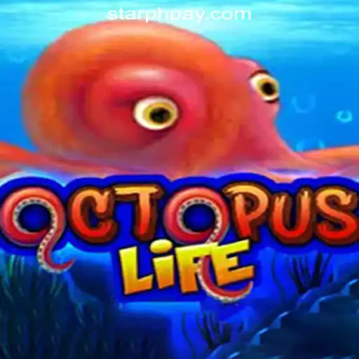 Exploring the Undersea World of OctopusLife