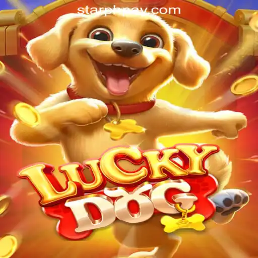 Experience Thrill and Fortune with LuckyDog: A Premier Offering from StarPH Online Casino Philippines
